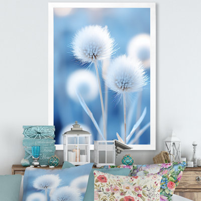 Frost Kissed Blue Thistle Flowers - chardon, art mural
