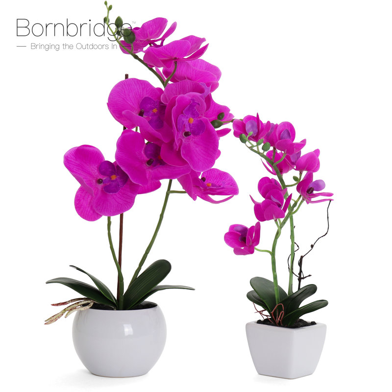 Faux Silk Orchid Arrangement in Vase, Violet