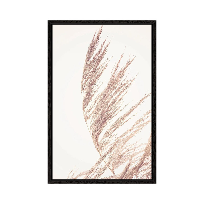 Pampas Grass II by Sisi & Seb - Gallery-Wrapped Canvas Giclée on Canvas, 66.04 cm H x 45.72 cm W, Black Framed