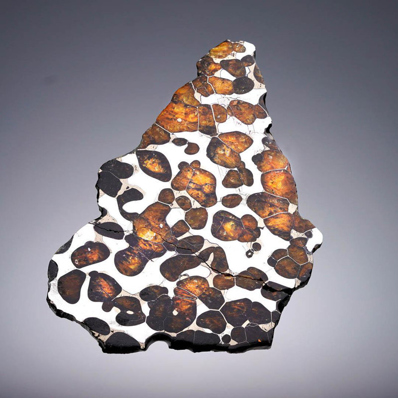 Tranche de météorite Pallasite 55,77 grammes Seymchan