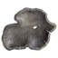Plateau en bois massif Bovina