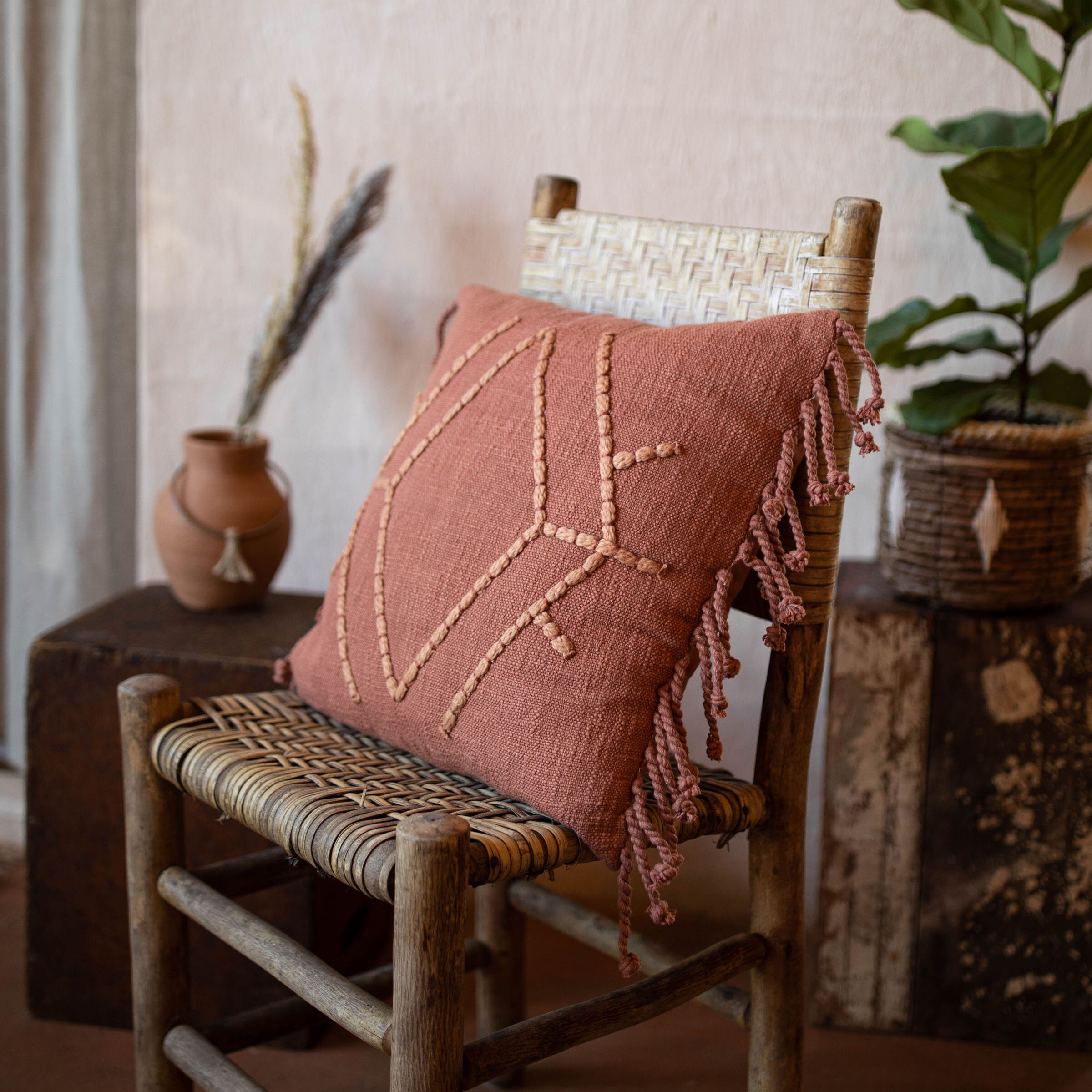 Fringed Cotton Throw Pillow