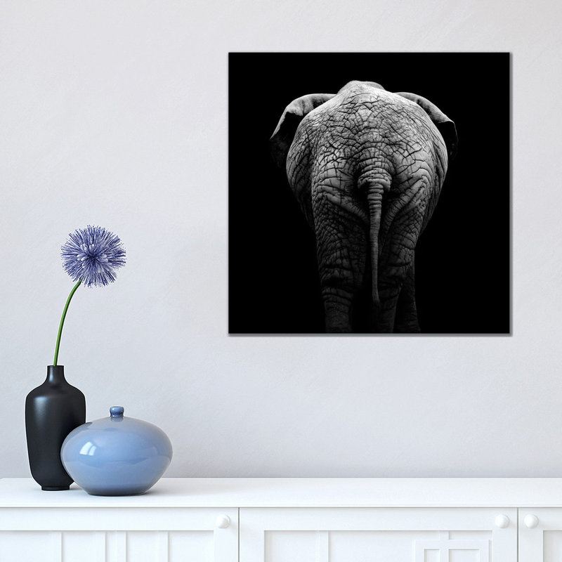 Elephant In Black & White II by Lukas Holas - Wrapped Canvas Gallery-Wrapped Canvas Giclée, 45.72 cm H x 45.72 cm W