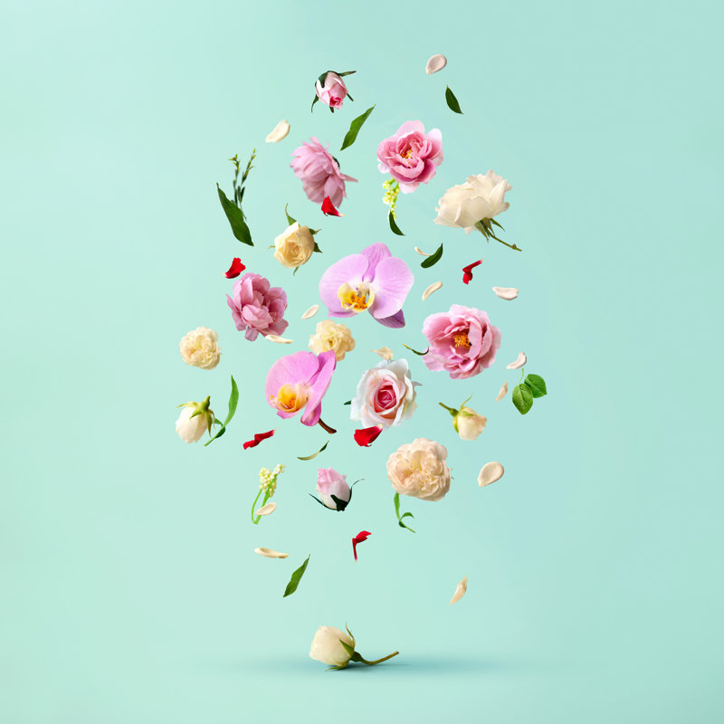 Beautiful Spring Flowers Flying In The Air, Against Teal Background by Hiddencatch - Wrapped Canvas Print