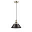 Luminaire suspendu conique à 1 lumière Weatherford-663876212-663876219-660949724