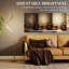 Demeturis 146cm Painted LED Arched Floor Lamp with USB