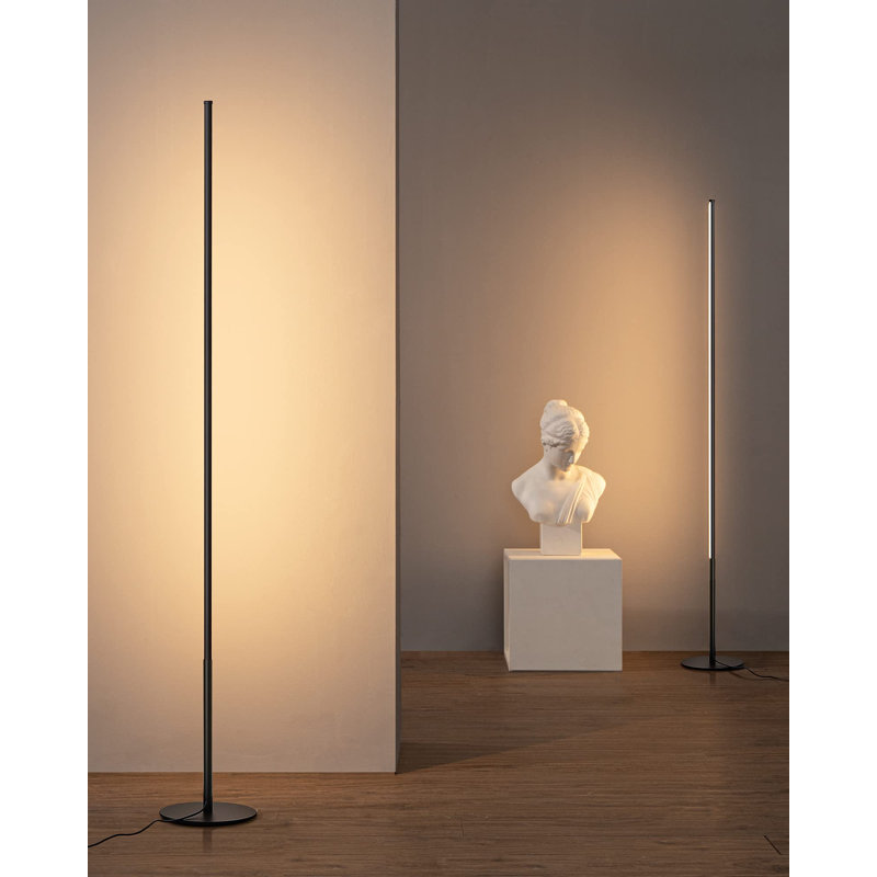 2 Pack 147cm Modern LED Floor Lamp, Black