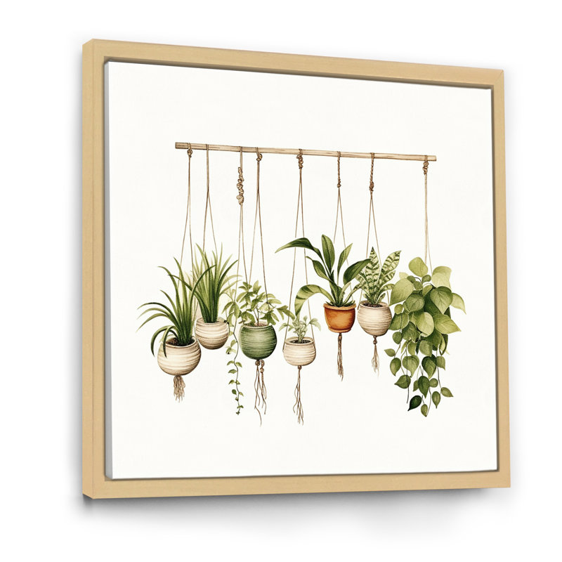 Plantes suspendues aquarelle botanique bohème, Cadre naturel flottant, 16" H x 16" W