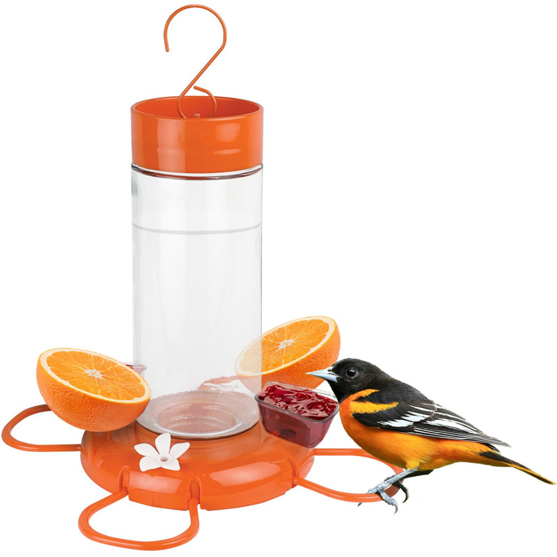 Mangeoire orange à fleurs d'oranger avec accessoires pour gelée
