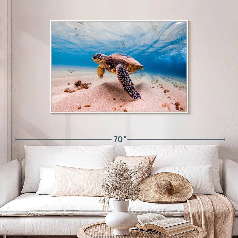 Tortue de sable, 46 po x 31 po, Cadre flottant blanc