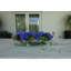Hydrangeas and Driftwood in Vase