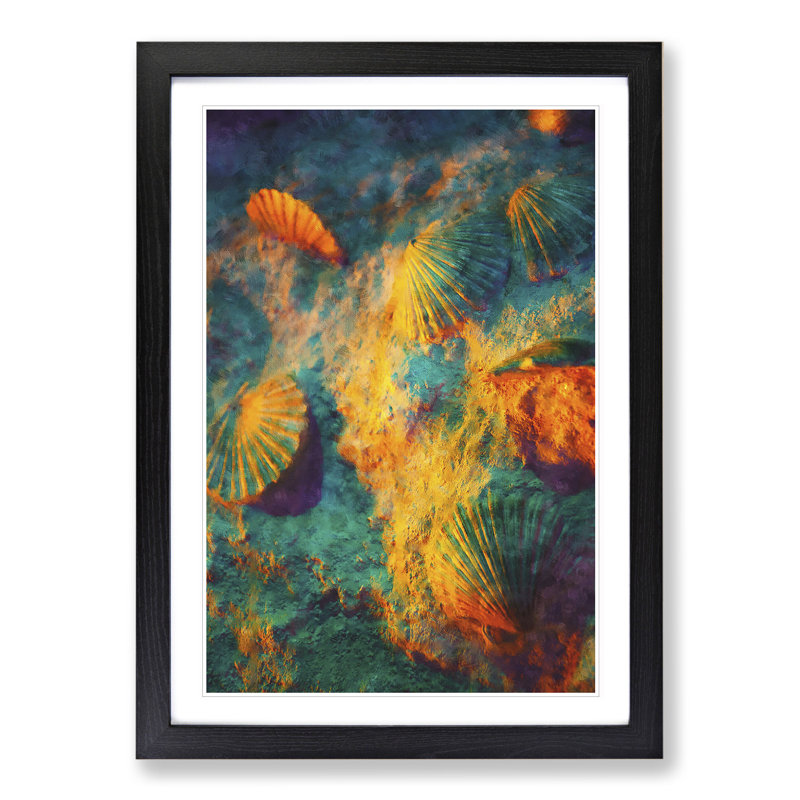 Shells on the Beach Vo.1 - Picture Frame Graphic Art, Black Framed, 48cm H x 36cm W x 2cm D