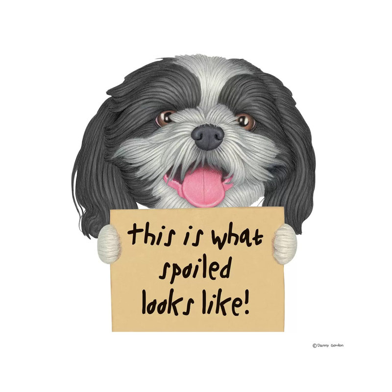 Shih Tzu gâté ressemble, H 12 po x l 12 po x P 0,75 po
