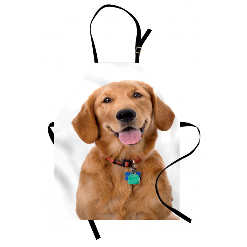 Tablier de golden retriever