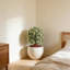 Ensemble de 2 topiaires artificiels avec piquet pour l'intérieur et l'extérieur-870648084-870648073
