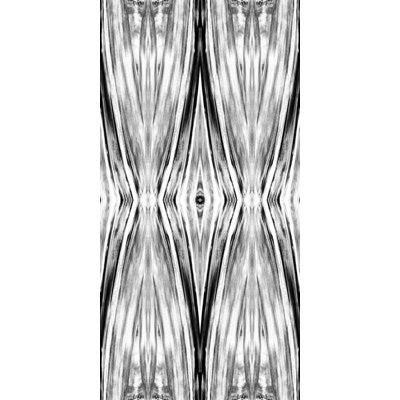 Ikat Print by John Beard