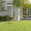 Ensemble de cours pour chien-1094701712