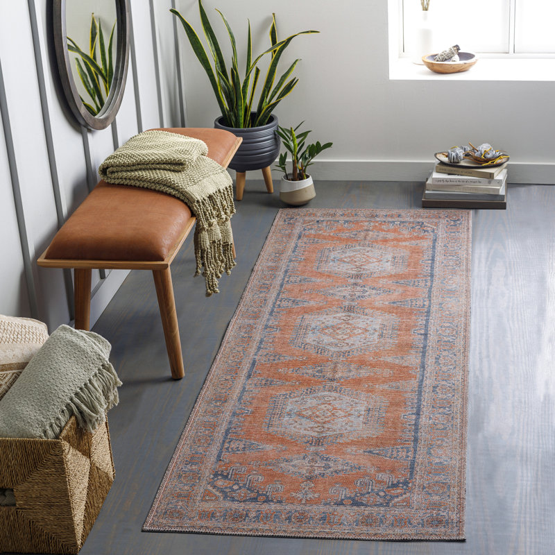 Colin Machine Washable Traditionnal Boho Area Rug, Runner 80 x 220cm