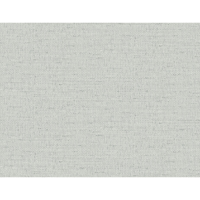 Rouleau de papier peint embossé 3D L 27 pi x l 27 po Chariyah, Cendre fraîche
