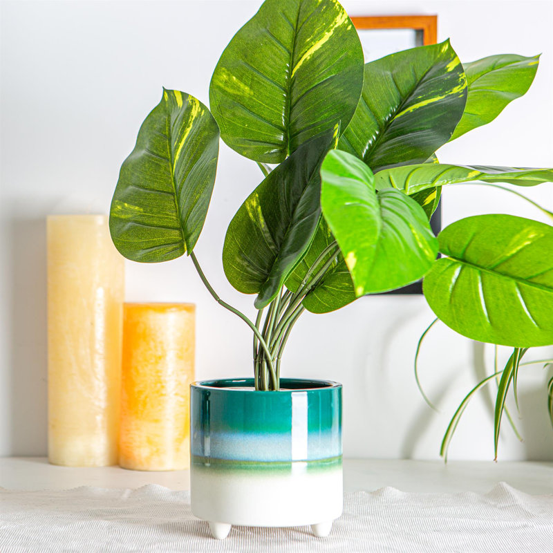 Ceramic Pot Planter, 13.5cm H x 14cm W x 14cm D, Green
