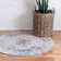Oriental Indoor Rug