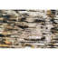 Area Rug in Brown-485629857