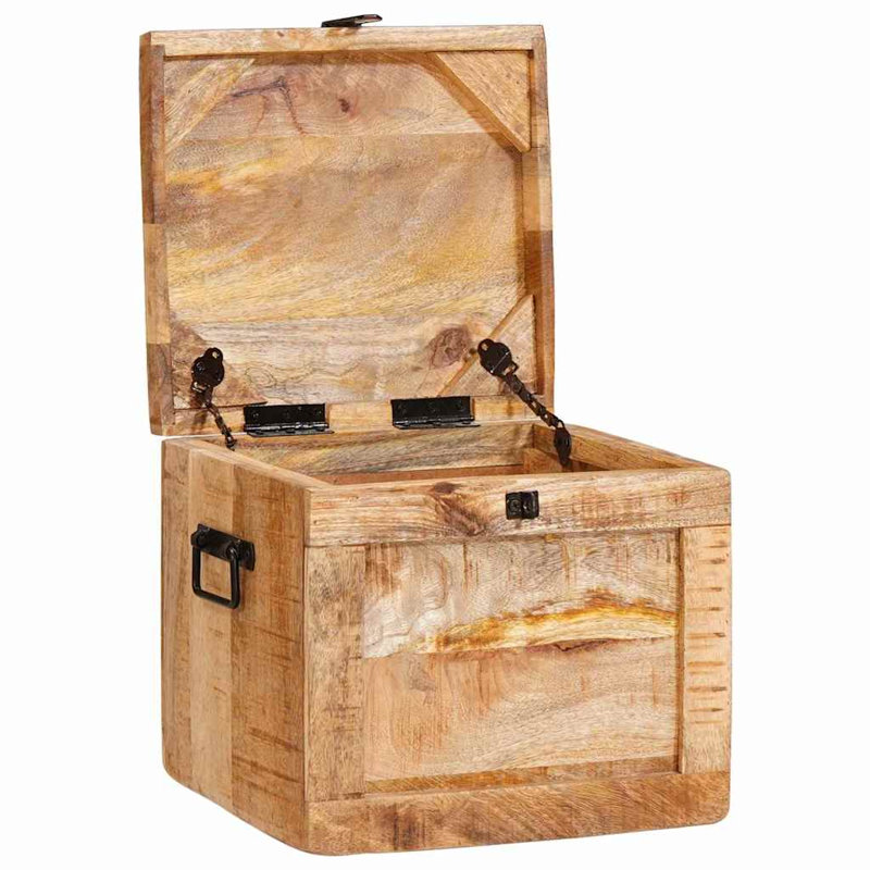 Storage Box with Storage with Door with Lock Brown Trunk Indoor Bedroom, Natural