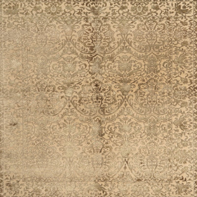 Oriental Indoor Rug