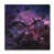 Black/Purple selected
