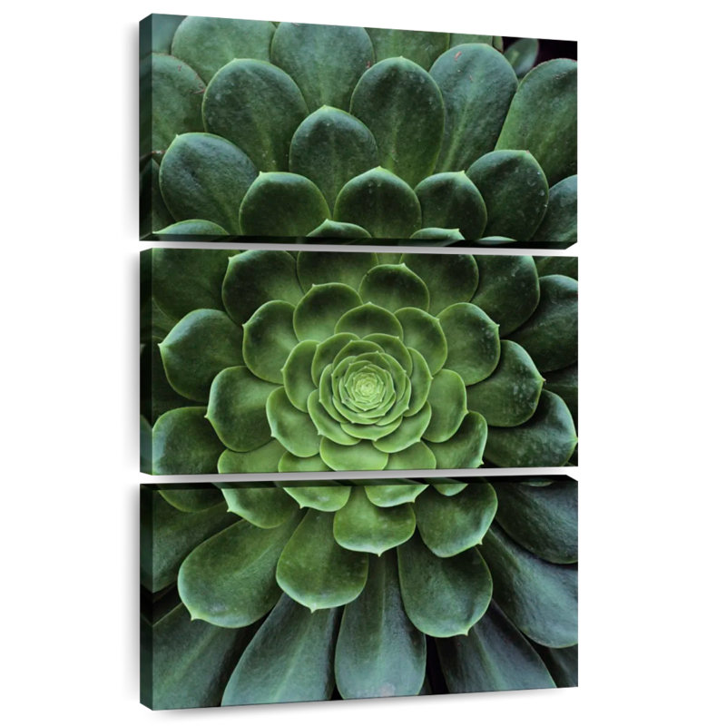 Harnek Flowerlike Succulent, 74" H x 48" W
