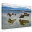 « pelicans flying », reproduction d’impression sur toile tendue-30393260