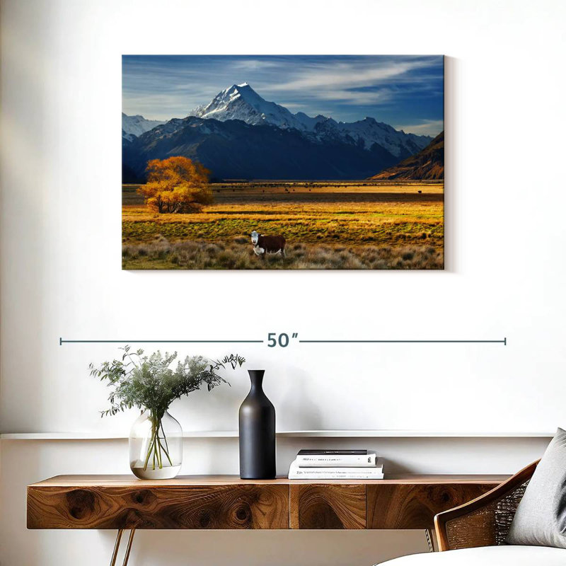 Nicci Mount Cook Farmland