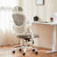 Riegelsville Mesh Office Task Chair with Headrest-548948563
