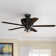 54" Promenade 5 - Blade ENERGY STAR Ceiling Fan with Remote Control and LED Light Included