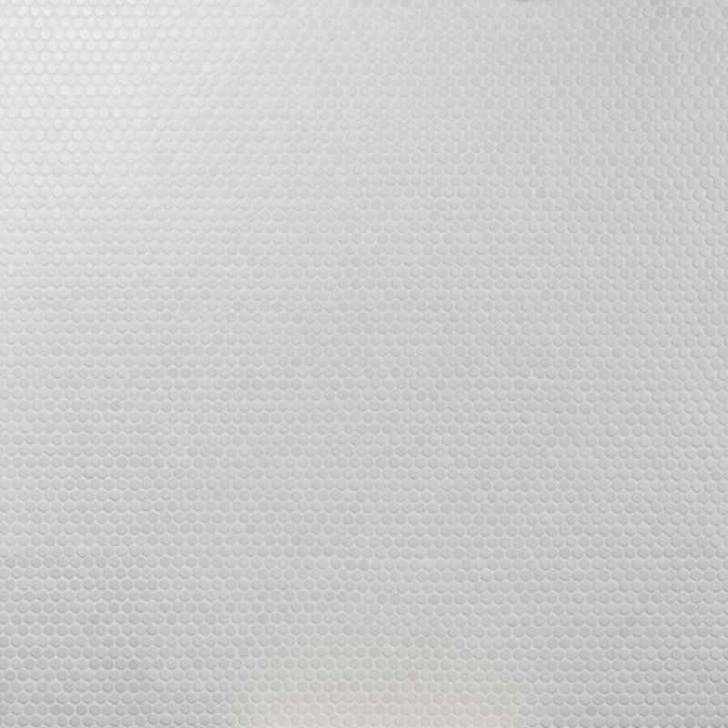 Eden 1" Rimmed Penny Round Matte Porcelain Mosaic Tile, Matte White