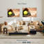 Ligue de balle molle Sireci-107960262