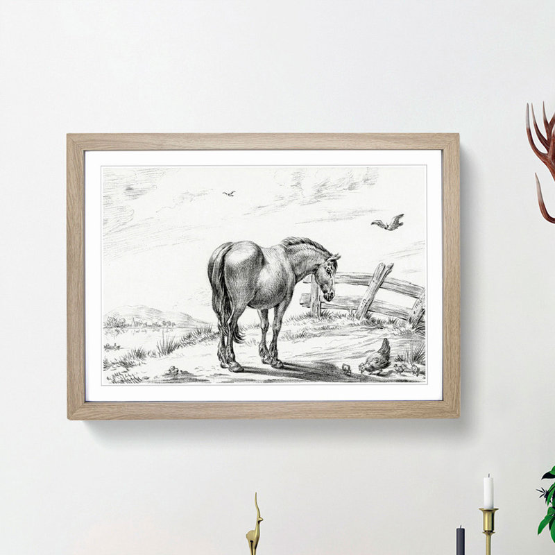 Horse in a Meadow by Jean Bernard - Picture Frame Drawing Print, 36cm H x 48cm W x 2cm D, Oak Framed