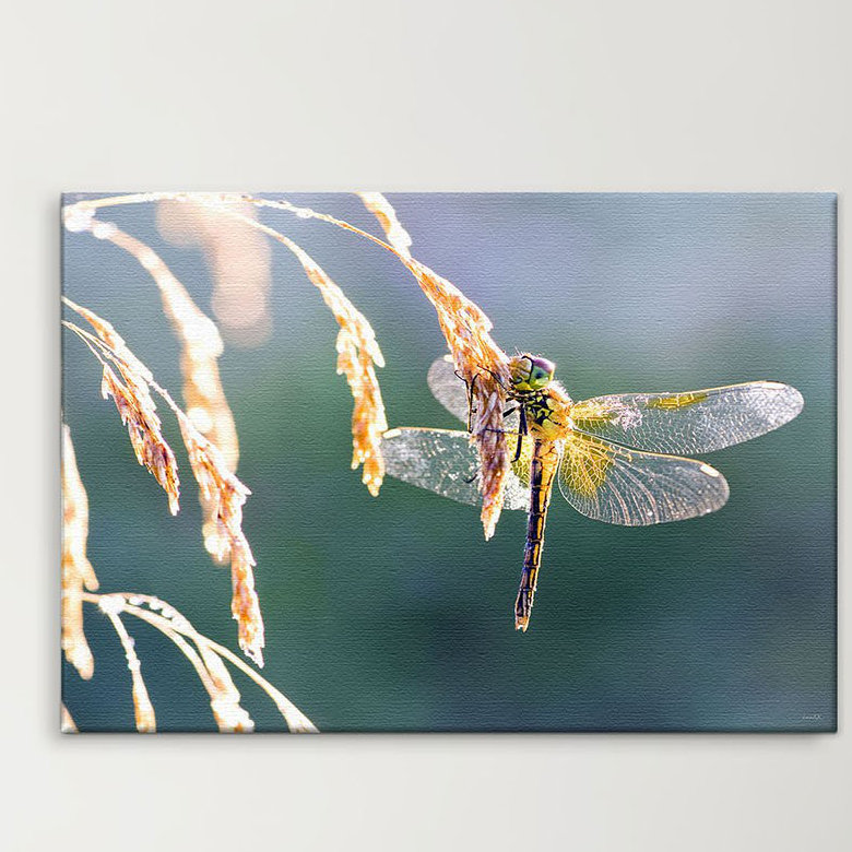 Print on Canvas, 100cm H x 150cm W x 2cm D