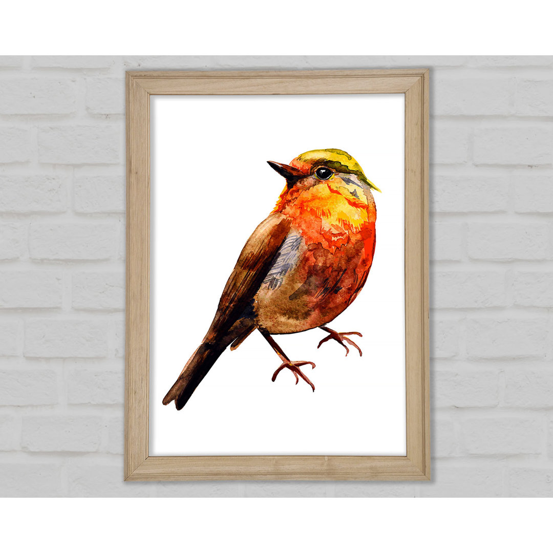 Robin Red Breast Gerahmter Druck