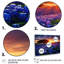 «Single Tree Blossoming Flower Field Sunset - Blue Bonnets», ensemble de reproduction d'art mural-360991038-360991034