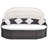 Iggy 78.7" Wide Rectangle Patio Daybed with Cushions-435180729