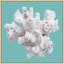 Coral Aqua 5' Framed Photographic Print