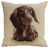 Beige/Brown Little Dasch