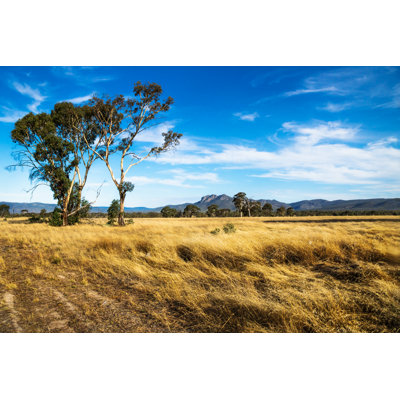 Golden Grassland Landscape, Australia 1 Piece Wrapped Canvas Wall Art