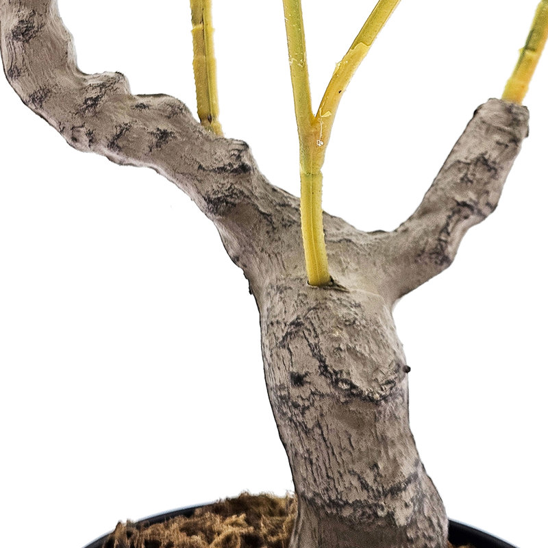 Citronnier artificiel d'une hauteur de 31,5 pouces avec verdure réaliste et pot en plastique noir - une pièce de décoration remarquable pour plusieurs styles