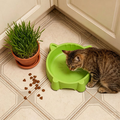 Bol en plastique pour chat et chats Playful Cats Face