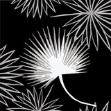 Cabbage Palm 10' L x 24" W Peel and Stick Wallpaper Roll