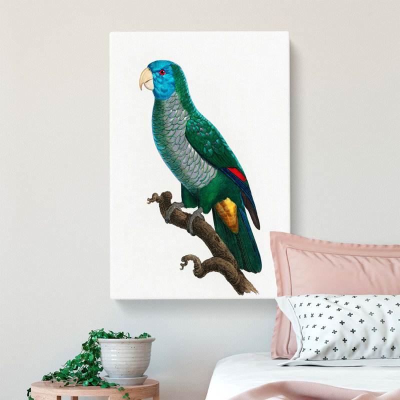 Saint Lucia Smazon Parrot by F. Levaillant - Wrapped Canvas, 60cm H x 40cm W x 3cm D