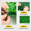 4.1cm Faux Boxwood Hedge-290713085