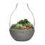 Eden Handmade Glass Planter-42186219